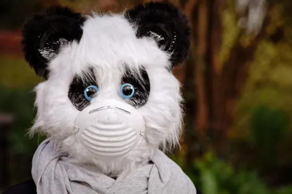 Casino Cabaret Club Supporto